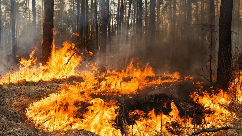 Киян просять зачинити вікна та не виходити з дому – на околиці міста пожежа