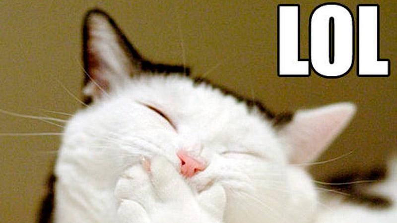 Топ-24 самых нелепых петиций к Порошенко Топ-24 самых нелепых петиций к Порошенко