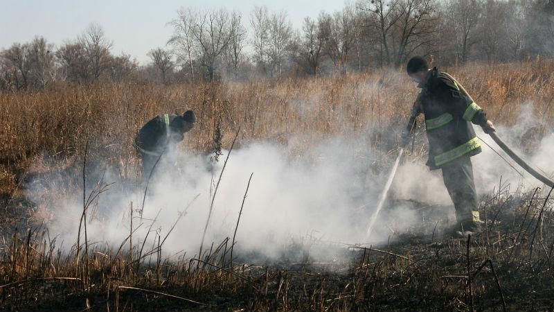Вероятная причина возгорания торфяников под Киевом — умышленный поджог