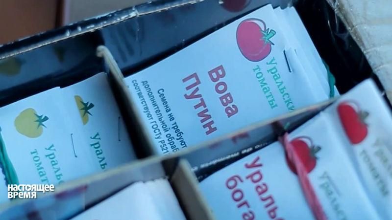 Как Вова Путин стал помидором Как Вова Путин стал помидором