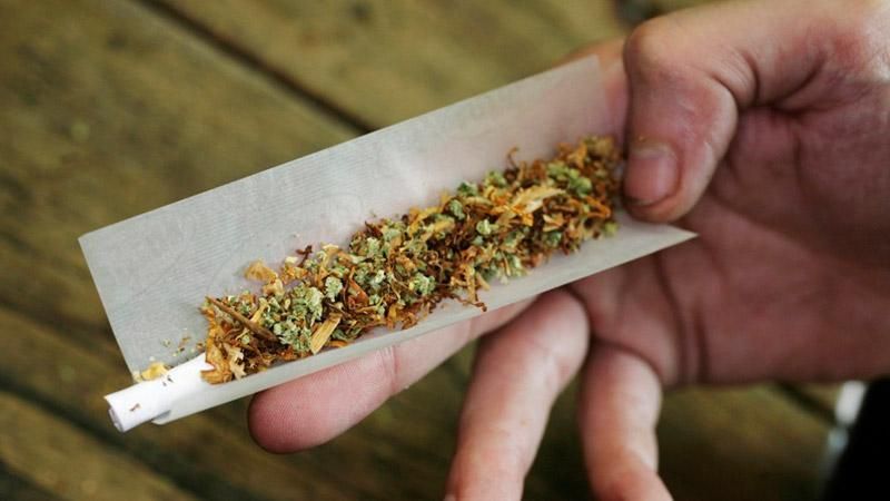 Славянск наплодили наркотиками, — МВД Славянск наплодили наркотиками, — МВД