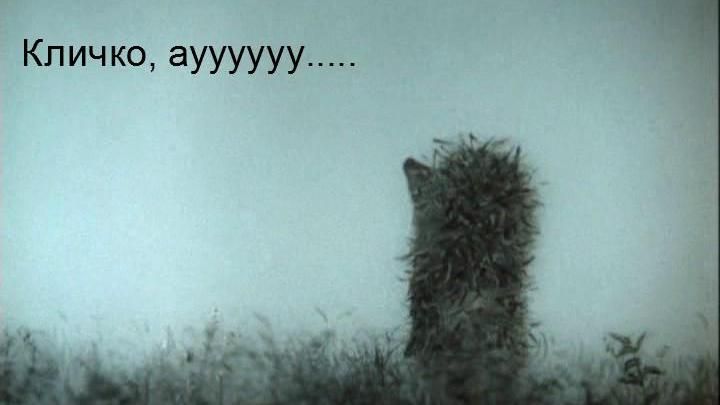 Київ в тумані та зрада в "ДНР": найсмішніші меми тижня Київ в тумані та зрада в "ДНР": найсмішніші меми тижня