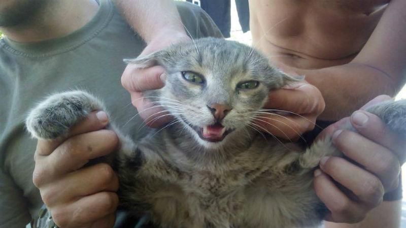 Кумедна історія про те, як "сєпар" нагадив нашим спецназівцям у багажник Кумедна історія про те, як "сєпар" нагадив нашим спецназівцям у багажник