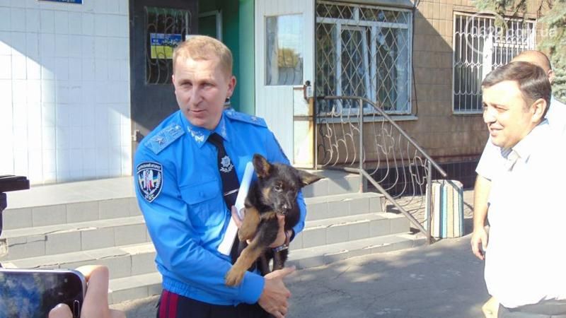 Аброськин рассказал детали о новой полиции, которая появится в Мариуполе Аброськин рассказал детали о новой полиции, которая появится в Мариуполе