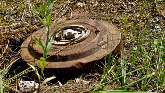 Женщина едва не погибла из-за "смертельного урожая" в Луганской области Женщина едва не погибла из-за "смертельного урожая" в Луганской области