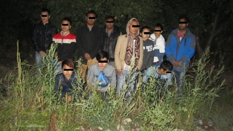 Украинские пограничники нашли сирийцев вблизи границы с Венгрией