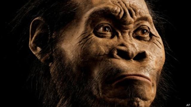 Сенсаційне відкриття: новий людиноподібний вид знайшли в Африці