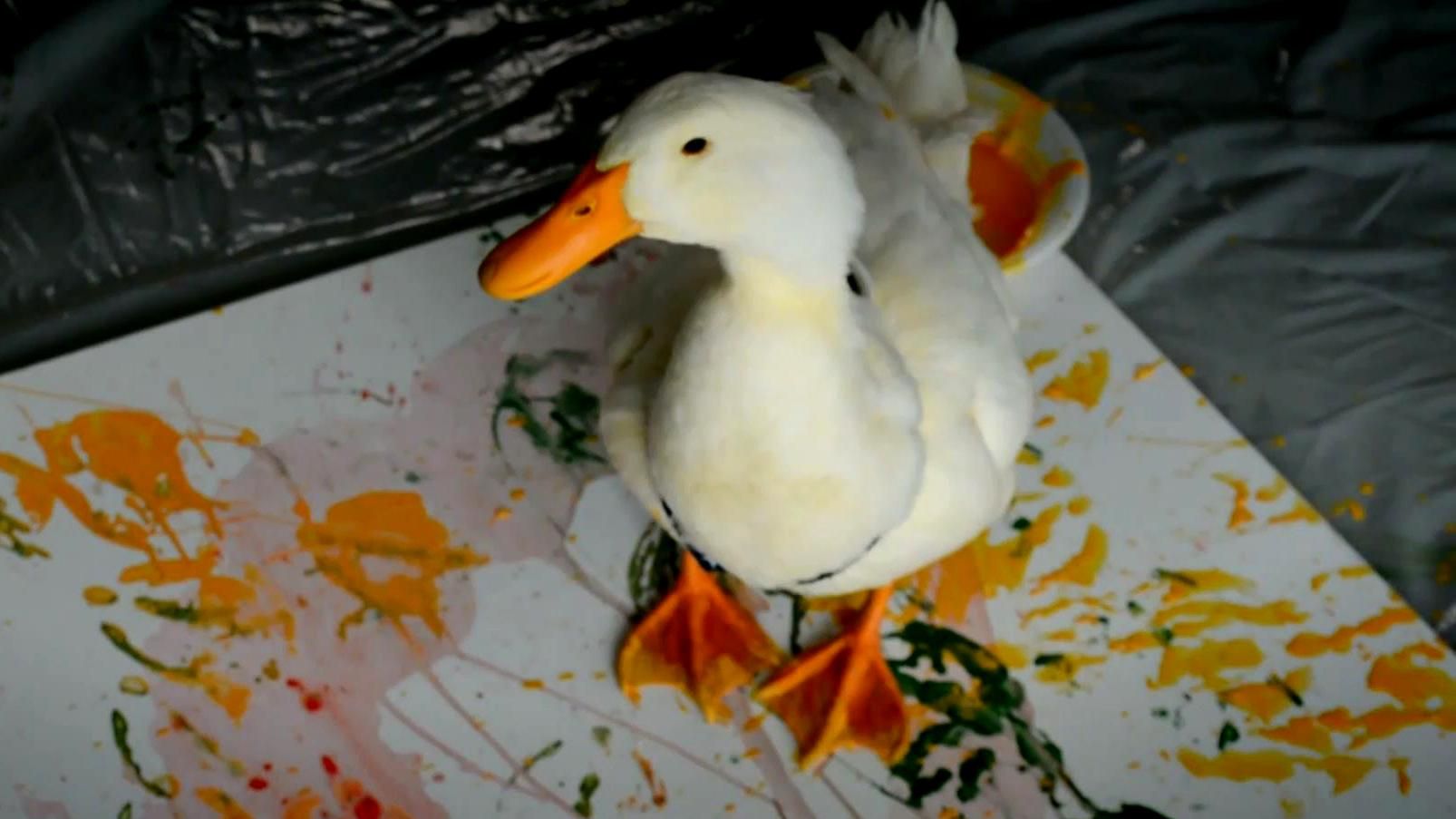 Як звичайна одеська качка стала художником — у проекті "ЛЮДИ" Як звичайна одеська качка стала художником — у проекті "ЛЮДИ"