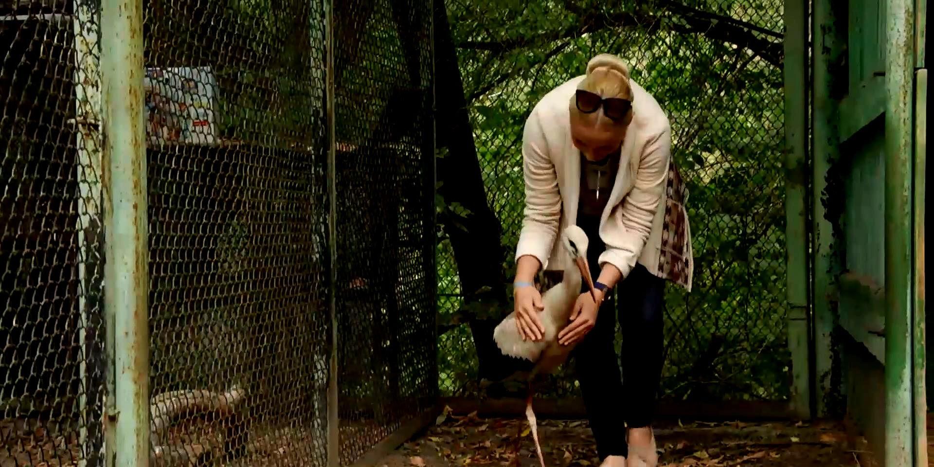 Стала відома доля врятованого поліцейськими лелеки Стала відома доля врятованого поліцейськими лелеки