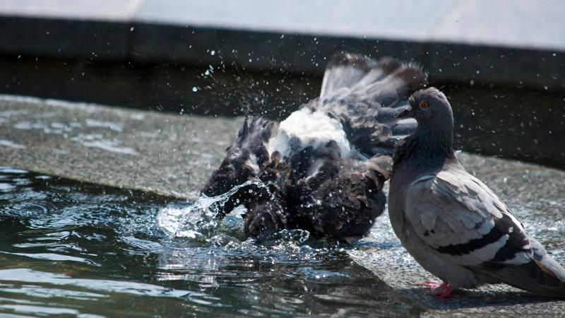 "Летняя" жара порадует украинцев "Летняя" жара порадует украинцев