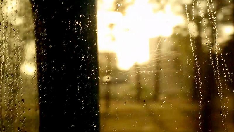 Спецпроект "Пропасть": кто и как зарабатывает на больных детях Спецпроект "Пропасть": кто и как зарабатывает на больных детях