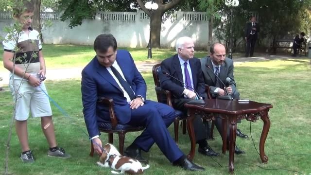 ТОП-новини: у Харкові розмалювали маєток Добкіна, Саакашвілі на брифінгу бавився з цуциком ТОП-новини: у Харкові розмалювали маєток Добкіна, Саакашвілі на брифінгу бавився з цуциком