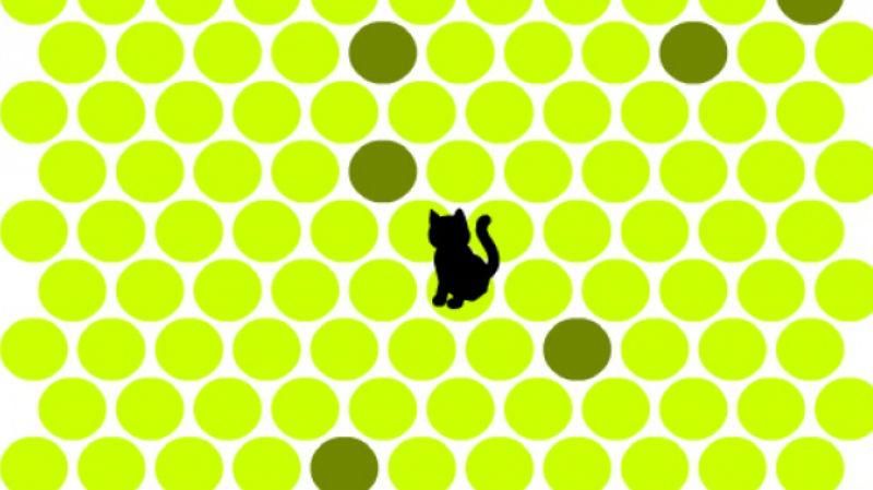 ТОП-7 сайтов, которые помогут избавиться от скуки ТОП-7 сайтов, которые помогут избавиться от скуки