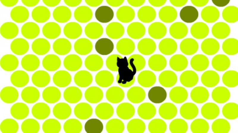 ТОП-7 сайтов, которые помогут избавиться от скуки