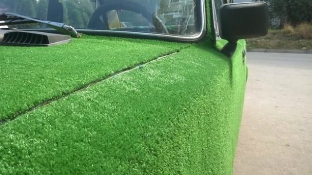 Зелений та пухнастий: у Криму автомобіль обклеїли килимом 
