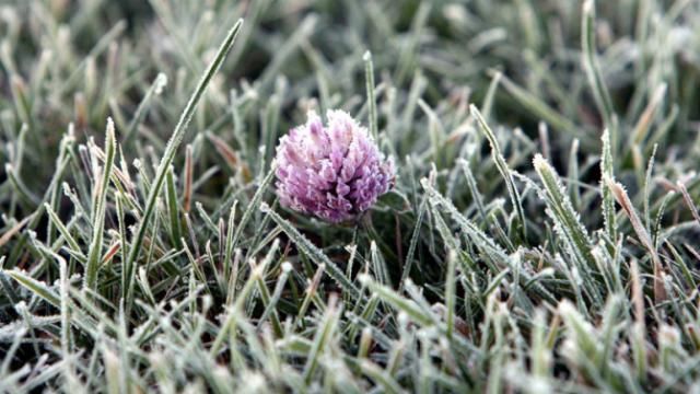 В Україні вдарять перші заморозки В Україні вдарять перші заморозки