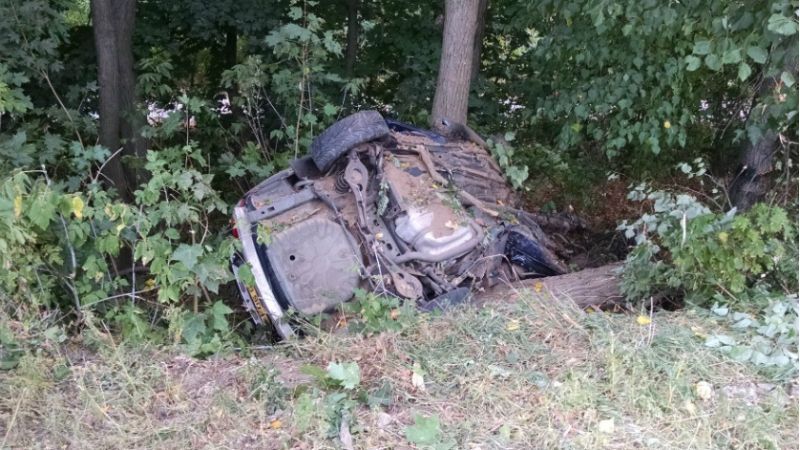 Автомобиль на полной скорости влетел в дерево: погибли 4 человека