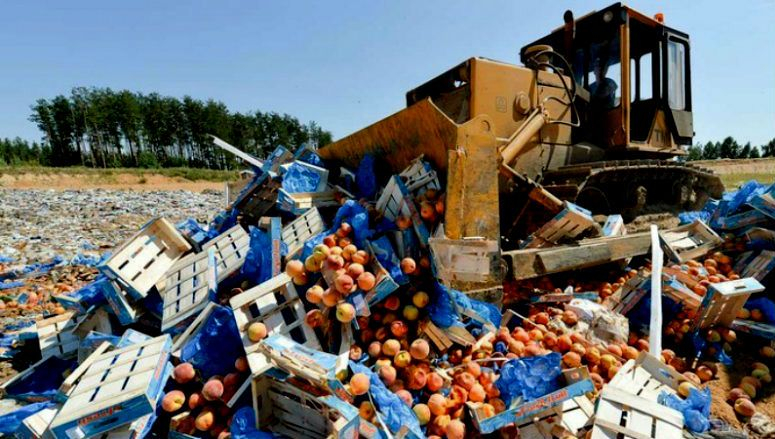 Россияне признались, сколько продуктов уничтожили