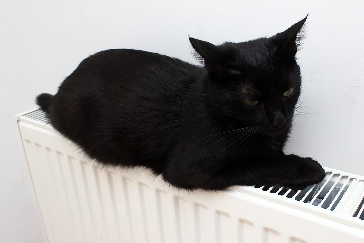 Эксперт рассказал, как утеплить дом Эксперт рассказал, как утеплить дом