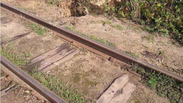 Бурштинові шукачі понищили найдовшу в Європі вузькоколійку Бурштинові шукачі понищили найдовшу в Європі вузькоколійку