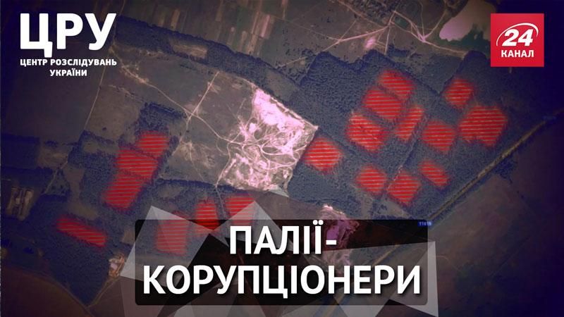 Почему в Киевской области горят леса и кому это выгодно Почему в Киевской области горят леса и кому это выгодно