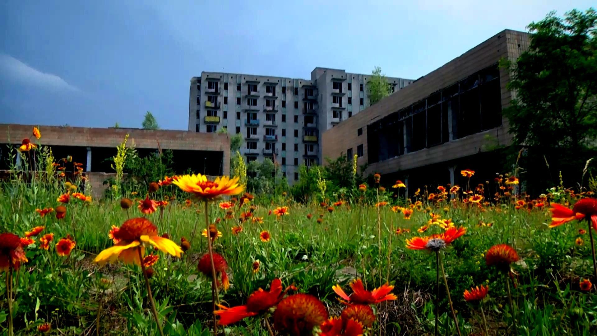 Город-призрак Орбита: разрушенные надежды украинцев Город-призрак Орбита: разрушенные надежды украинцев