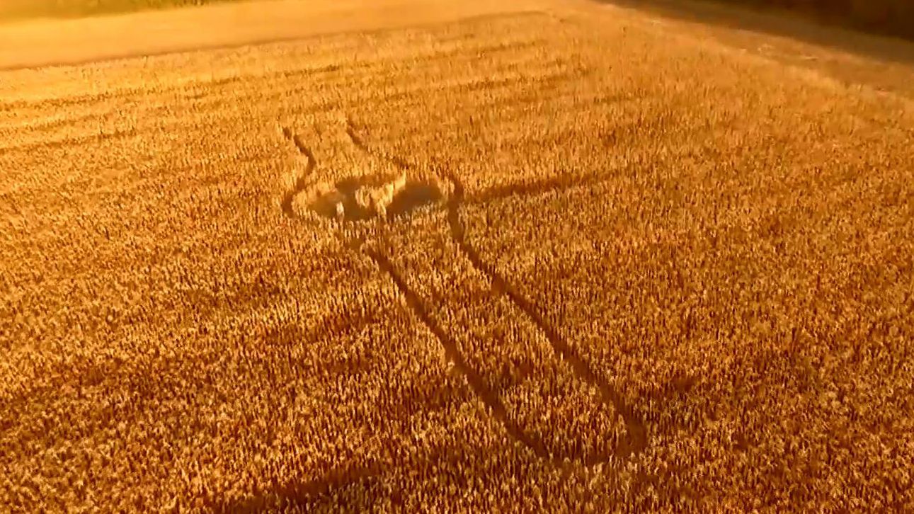 Неизвестные украсили поле в Ростовской области Неизвестные украсили поле в Ростовской области