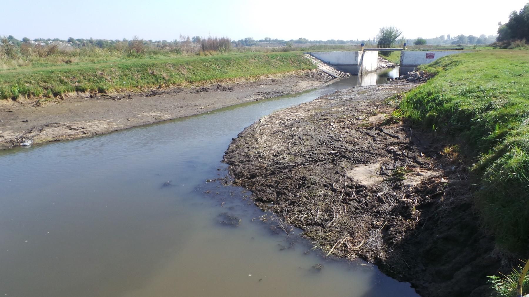 Экологическая катастрофа в Полтавской области: река превратилась в грязный ручей Экологическая катастрофа в Полтавской области: река превратилась в грязный ручей