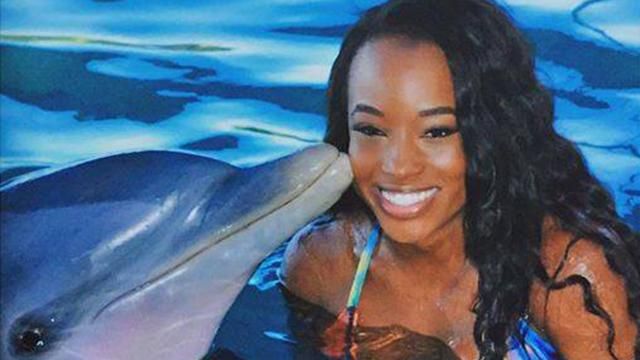 Дельфин вернул девушке смартфон, который утонул Дельфин вернул девушке смартфон, который утонул