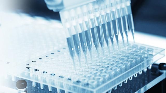 Півсотні людей отруїлось на Буковині через невідому хімічну речовину Півсотні людей отруїлось на Буковині через невідому хімічну речовину