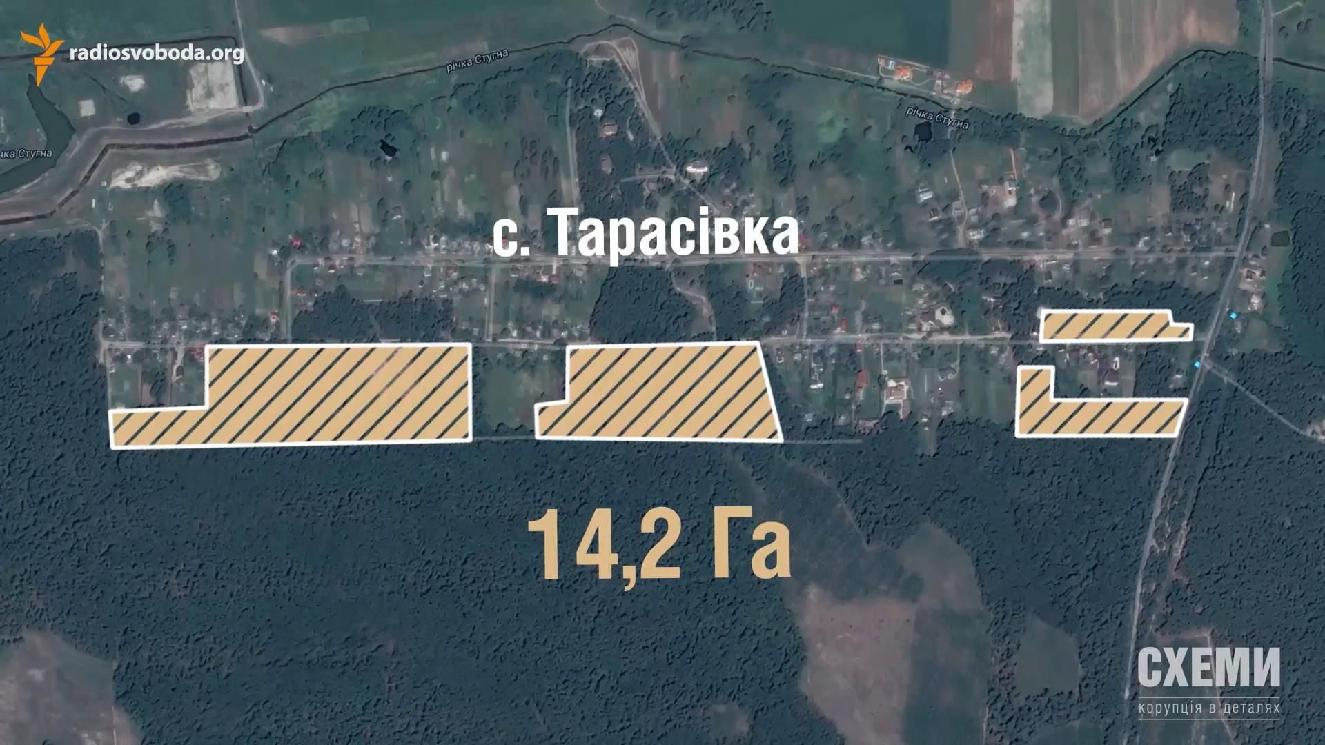 Сільська рада чи судді: хто забере ліс під Києвом Сільська рада чи судді: хто забере ліс під Києвом