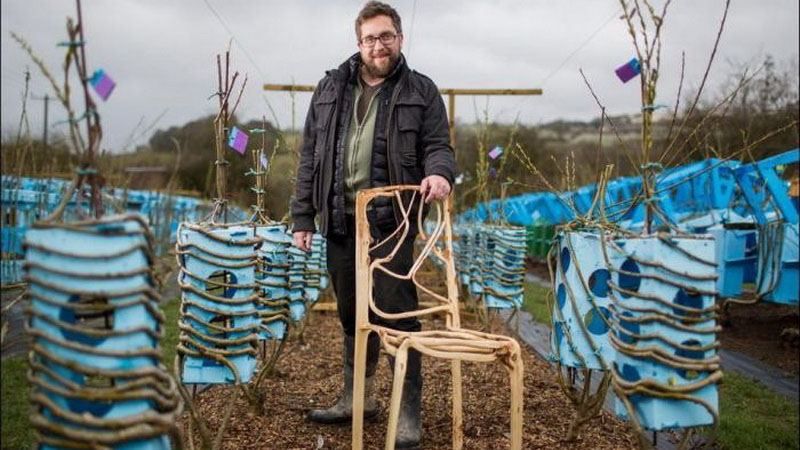 Меблі з городу: як вирощувати стільці та столи Меблі з городу: як вирощувати стільці та столи