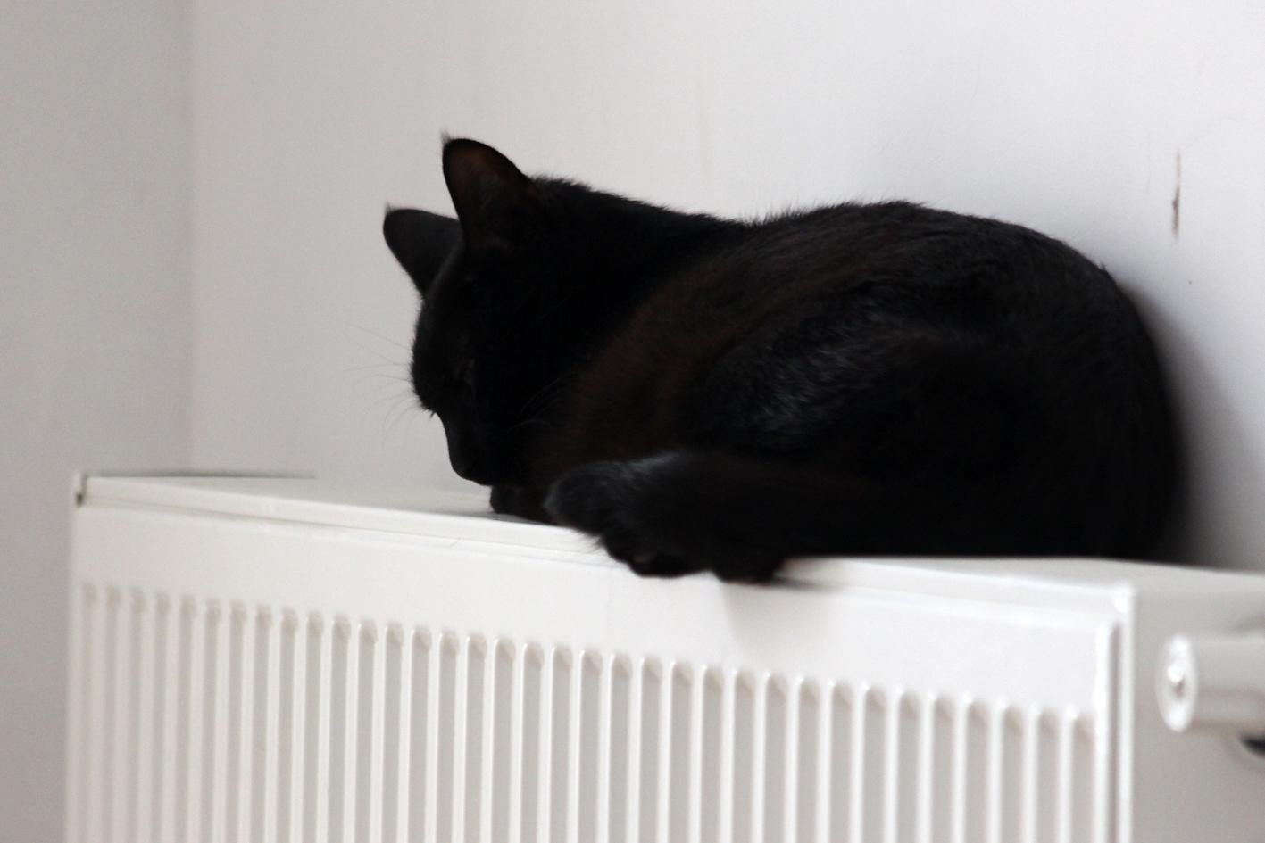 В Киеве включают отопление