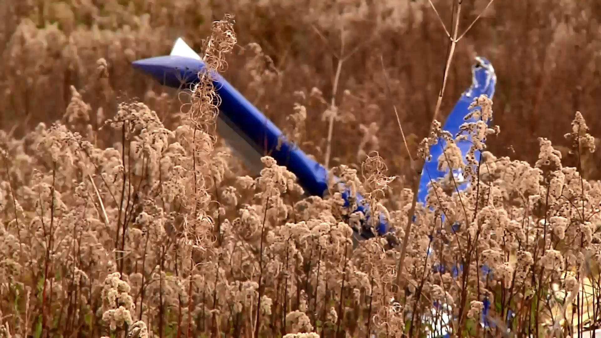 Стали відомі причини падіння літака на Львівщині Стали відомі причини падіння літака на Львівщині