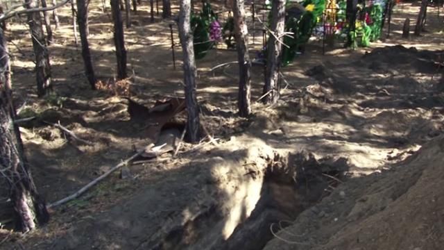 У Росії посеред лісу копають могили ще живим ветеранам