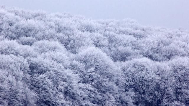 В Україну сунуть потужні заморозки