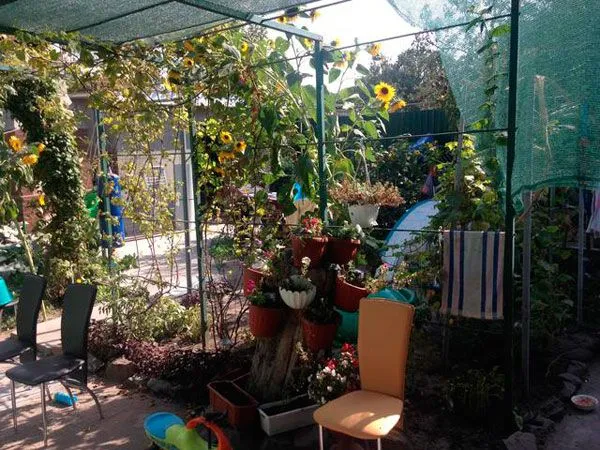 сад дім Ярош Дмитро Ярош сад дім Ярош Дмитро Ярош