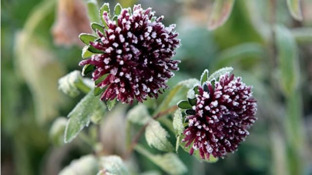 В Україні вдарить до 7 градусів морозу В Україні вдарить до 7 градусів морозу