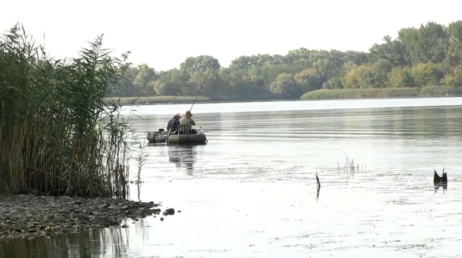 В Днепре массово вымирает рыба: последствия могут быть ужасные В Днепре массово вымирает рыба: последствия могут быть ужасные