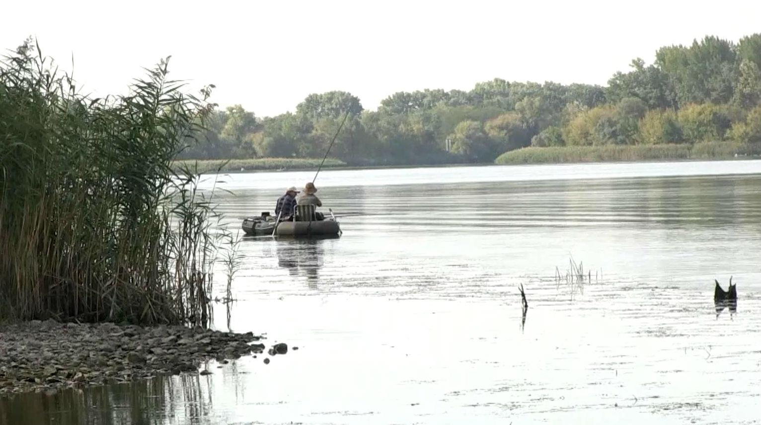 В Днепре массово вымирает рыба: последствия могут быть ужасные