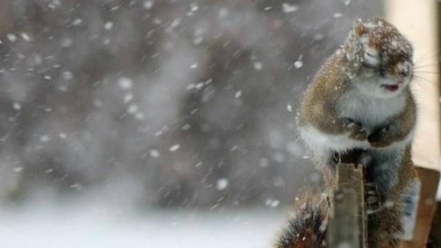 Холод и снег: какой будет погода в начале недели Холод и снег: какой будет погода в начале недели