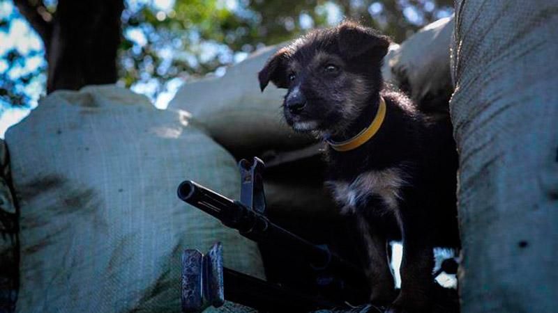 Украинские позиции готовы на 90%, — штаб АТО Украинские позиции готовы на 90%, — штаб АТО