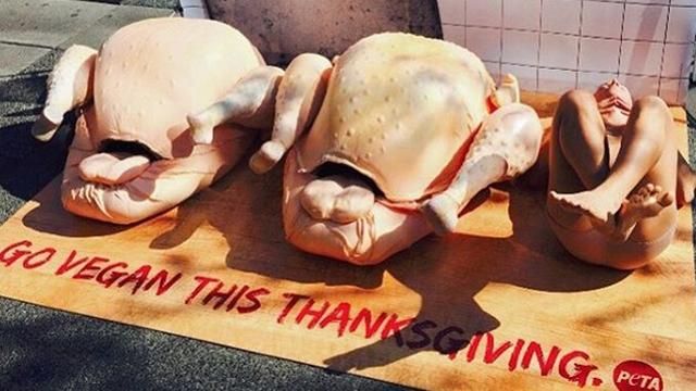 Новий інтернет-тренд: фото в позі курки Новий інтернет-тренд: фото в позі курки