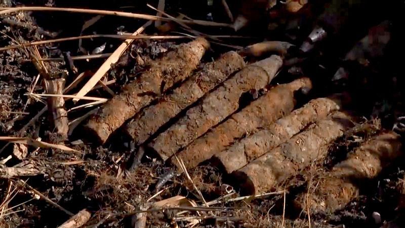 Під Києвом знайшли понад 200 радянських боєприпасів Під Києвом знайшли понад 200 радянських боєприпасів