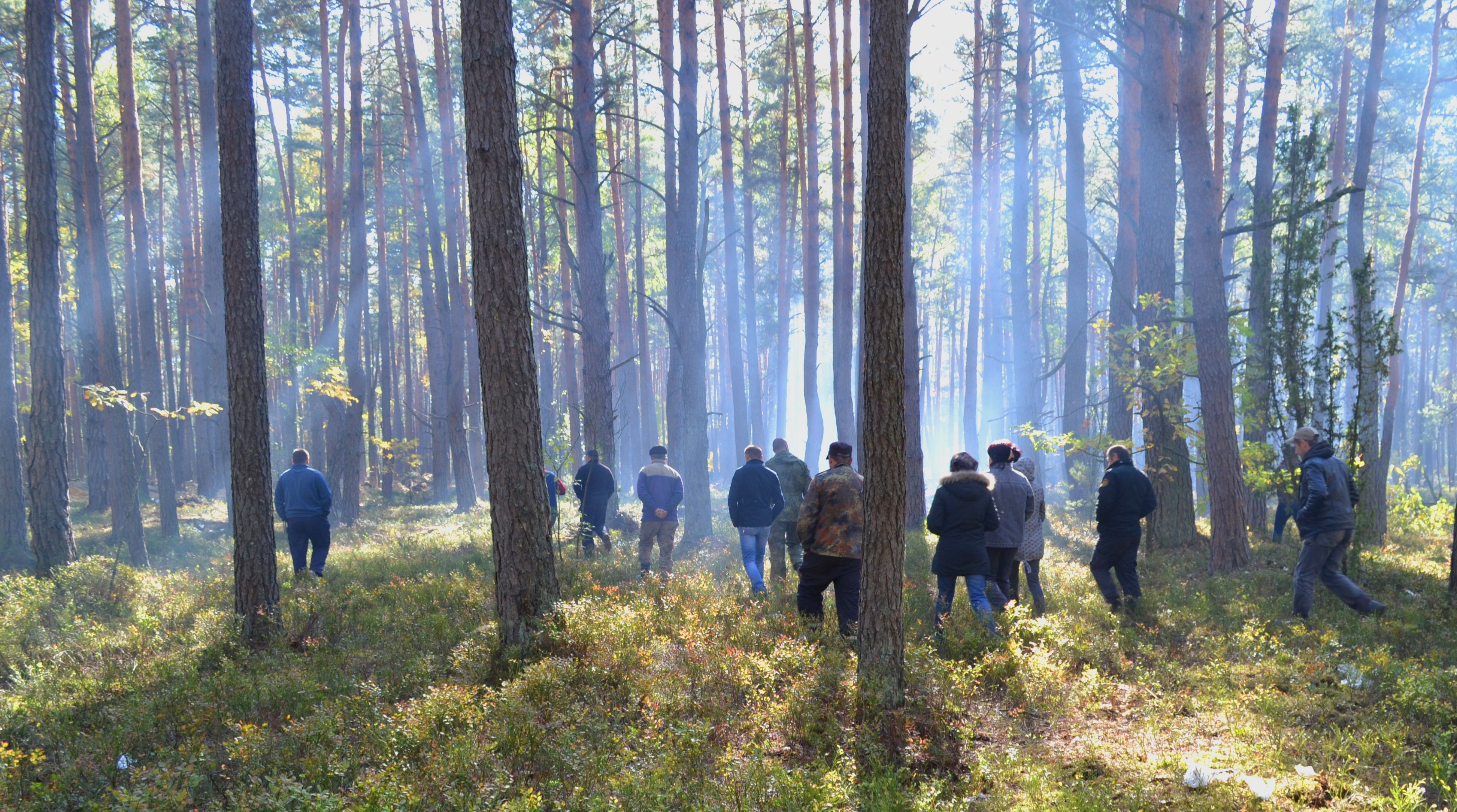 Волинський бурштин: вся правда з місця події Волинський бурштин: вся правда з місця події