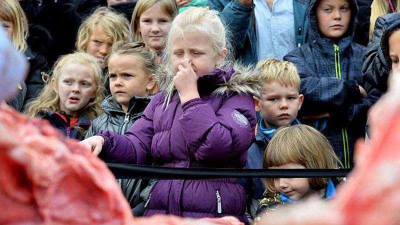 Звірство у Данії: зоопарк на очах дітей провів розтин лева (18+)