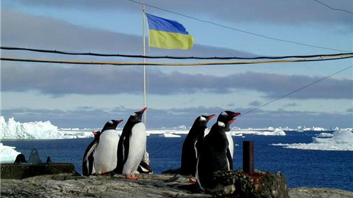Як українці живуть в Антарктиді Як українці живуть в Антарктиді