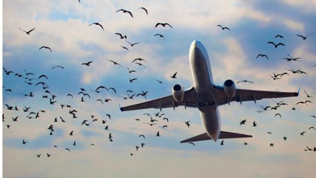 Украина готова к переговорам с Россией относительно "закрытого неба" Украина готова к переговорам с Россией относительно "закрытого неба"