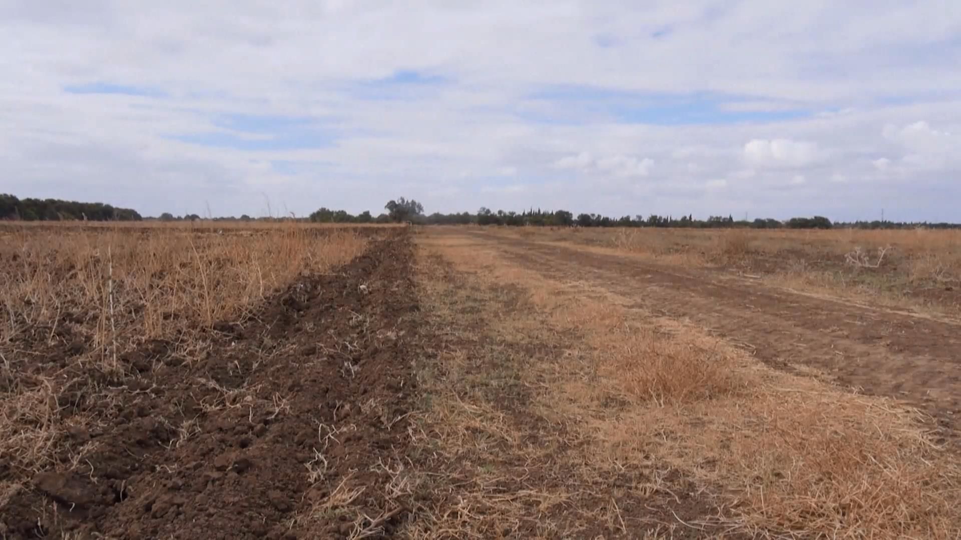 Війна в Сирії відкрила найбільше у світі зерносховище Війна в Сирії відкрила найбільше у світі зерносховище