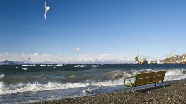 Потужний землетрус стався в Тихому океані Потужний землетрус стався в Тихому океані